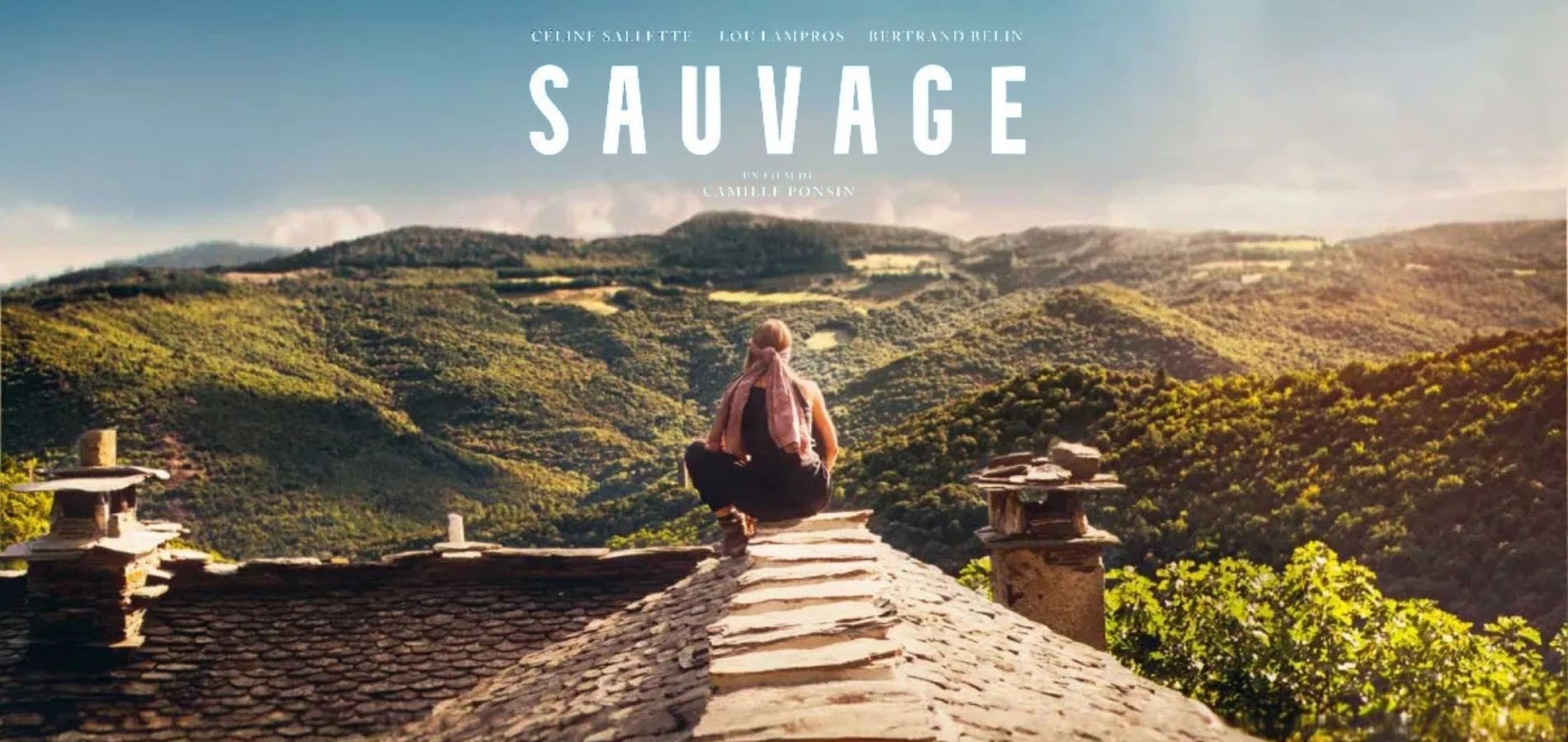 actualité sauvage