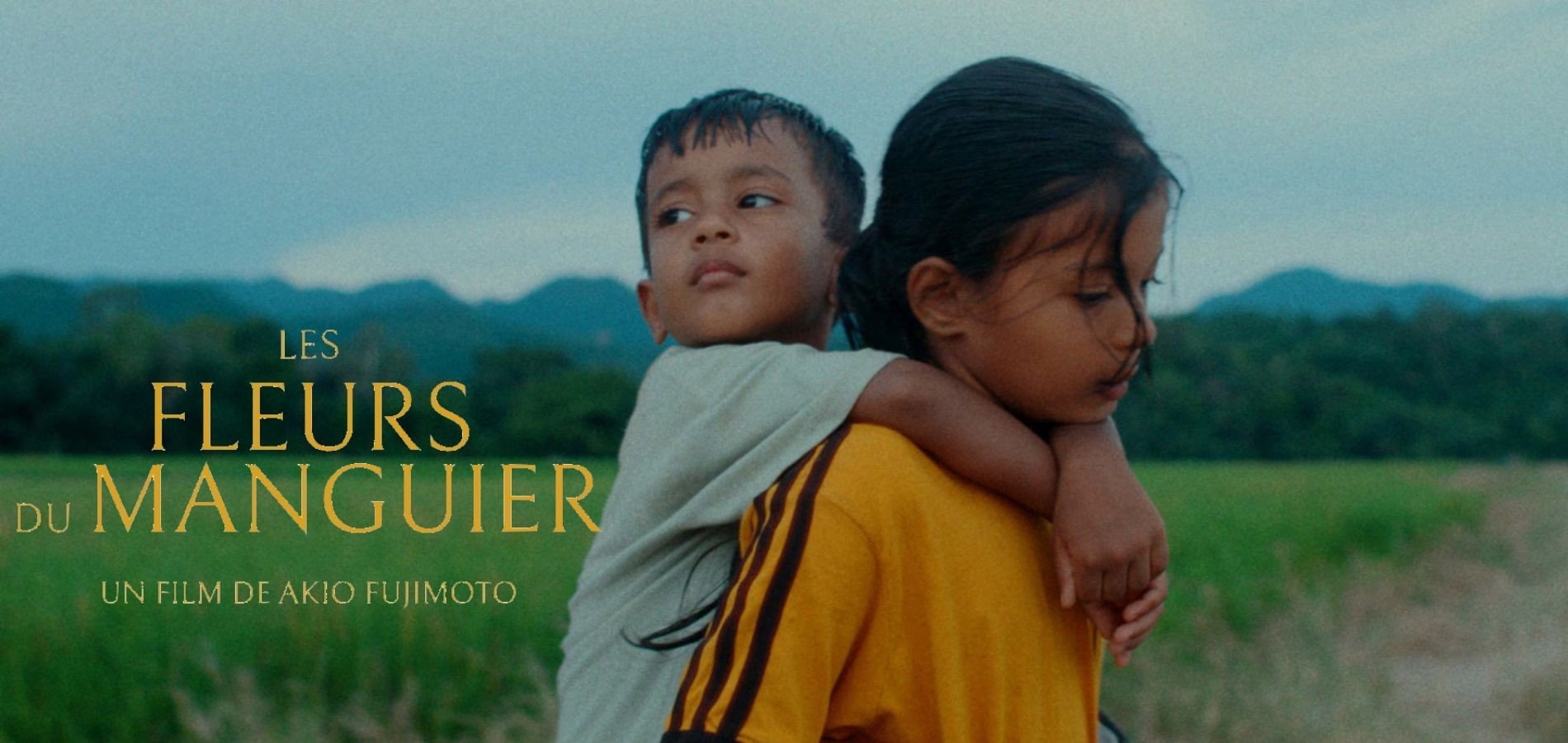 actualité fleurs du manguier