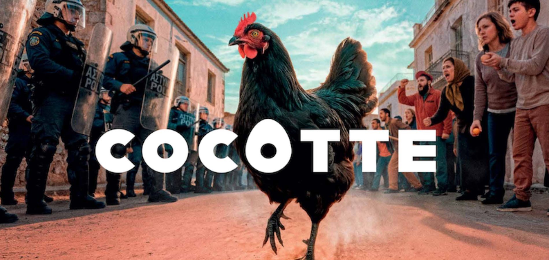 actualité cocotte