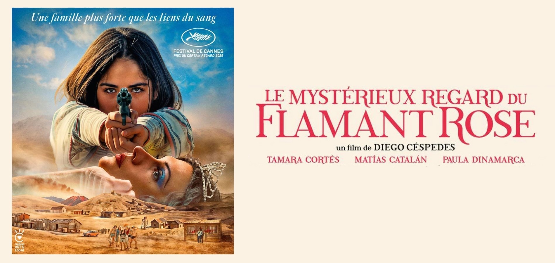 actualité flamand rose