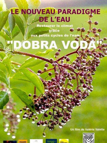 FLEURS DU FUTUR : DOBRA VODA